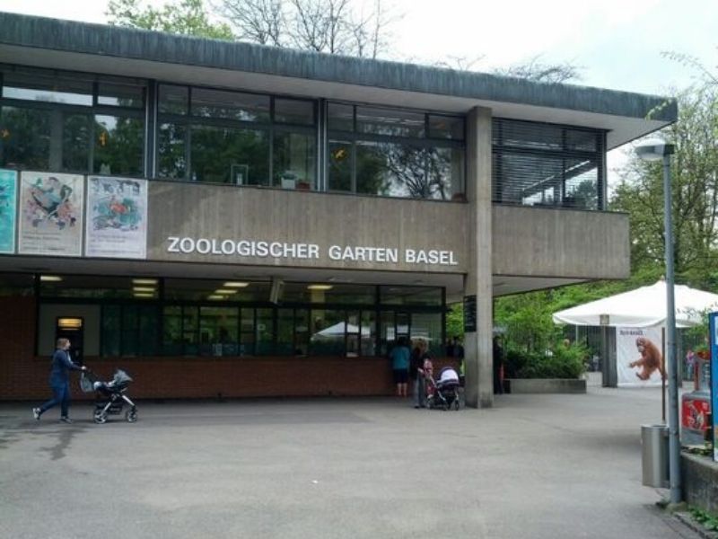 Zoo de Basilea