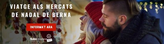 Viatge mercats nadal berna