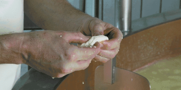 Animación Queso Gruyère