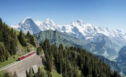 Tren de montaña Jungfrau