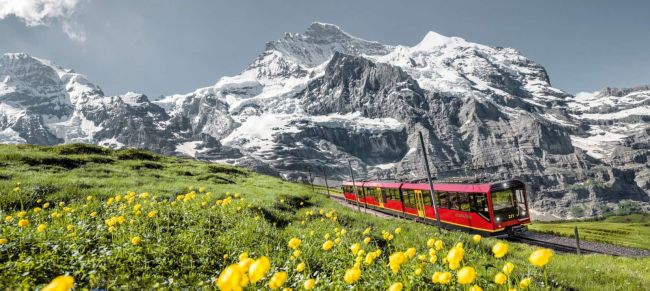 Tren de montaña Jungfrau