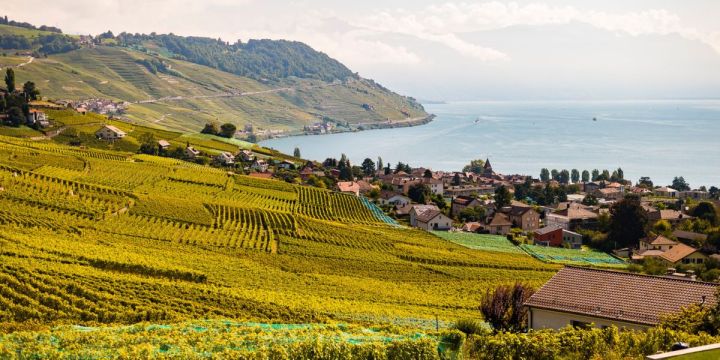 lavaux