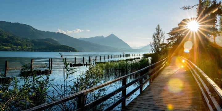 Camino de senderismo por el Lago Thun