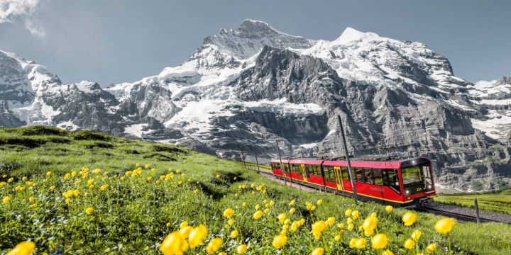 Tren de montaña Jungfrau